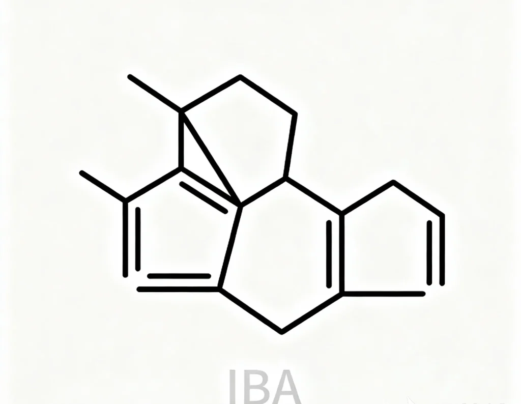 3 吲哚丁酸