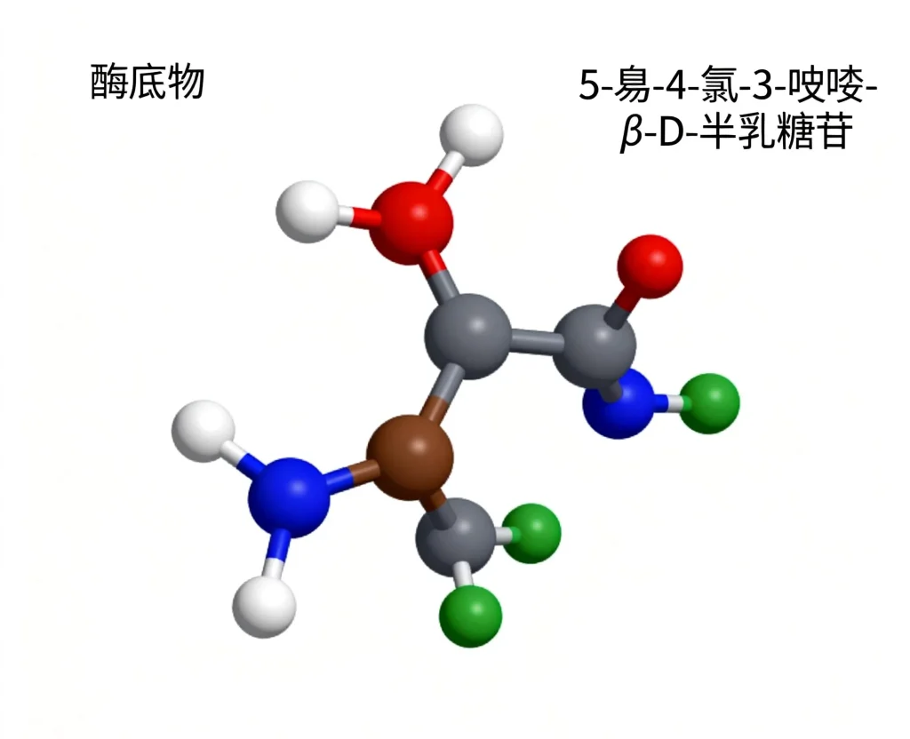 5 溴 4 氯 3 吲哚 β d 半乳糖苷