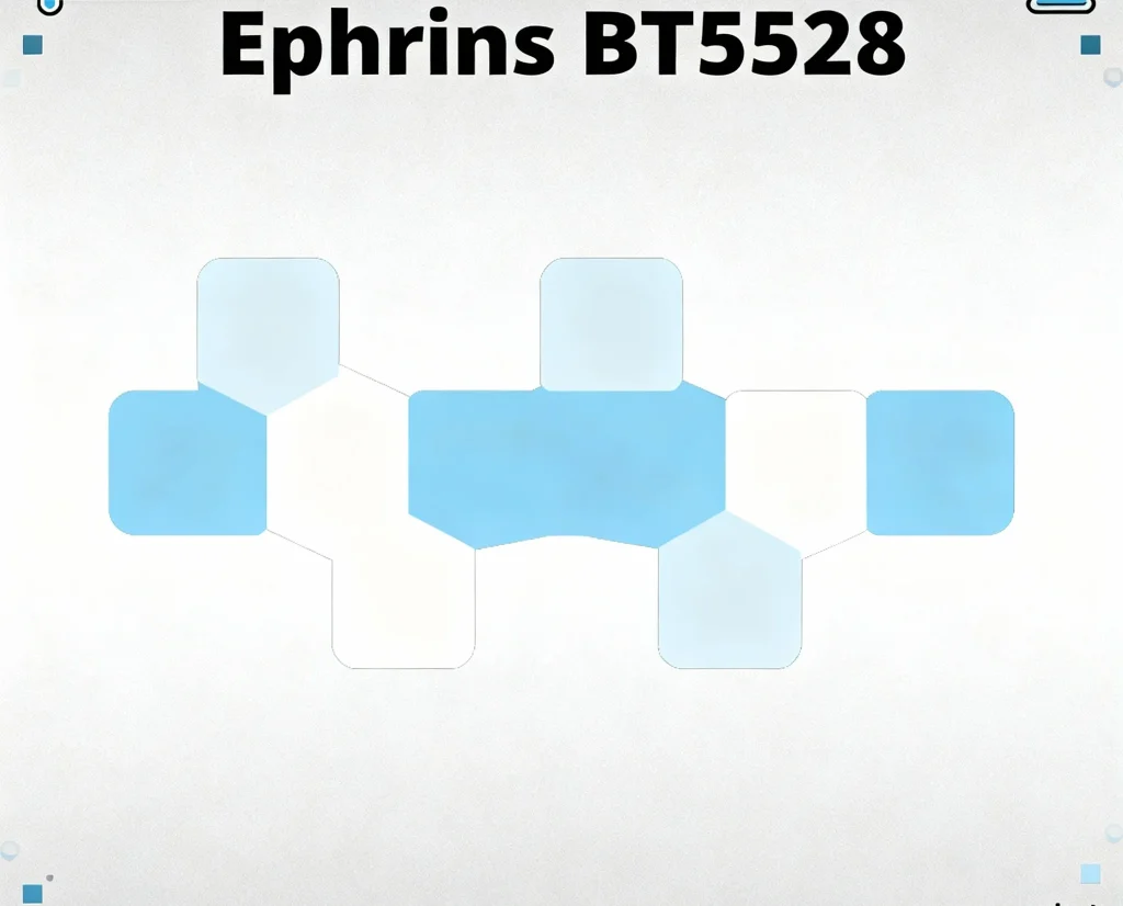 bt5528