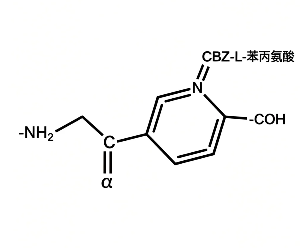 cbz l 苯丙氨酸