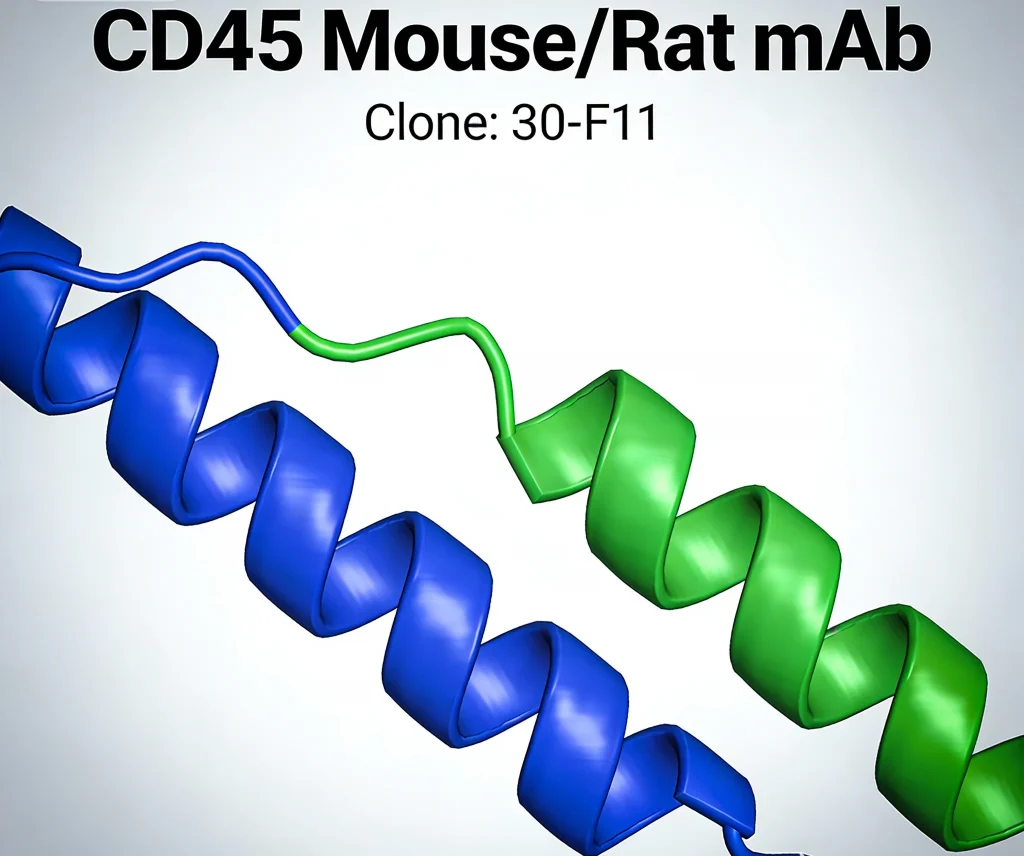 cd45 mouse rat mab