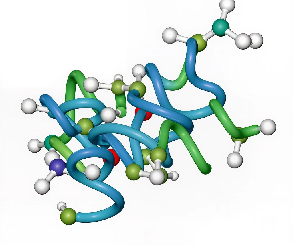 cxcl8（il 8）