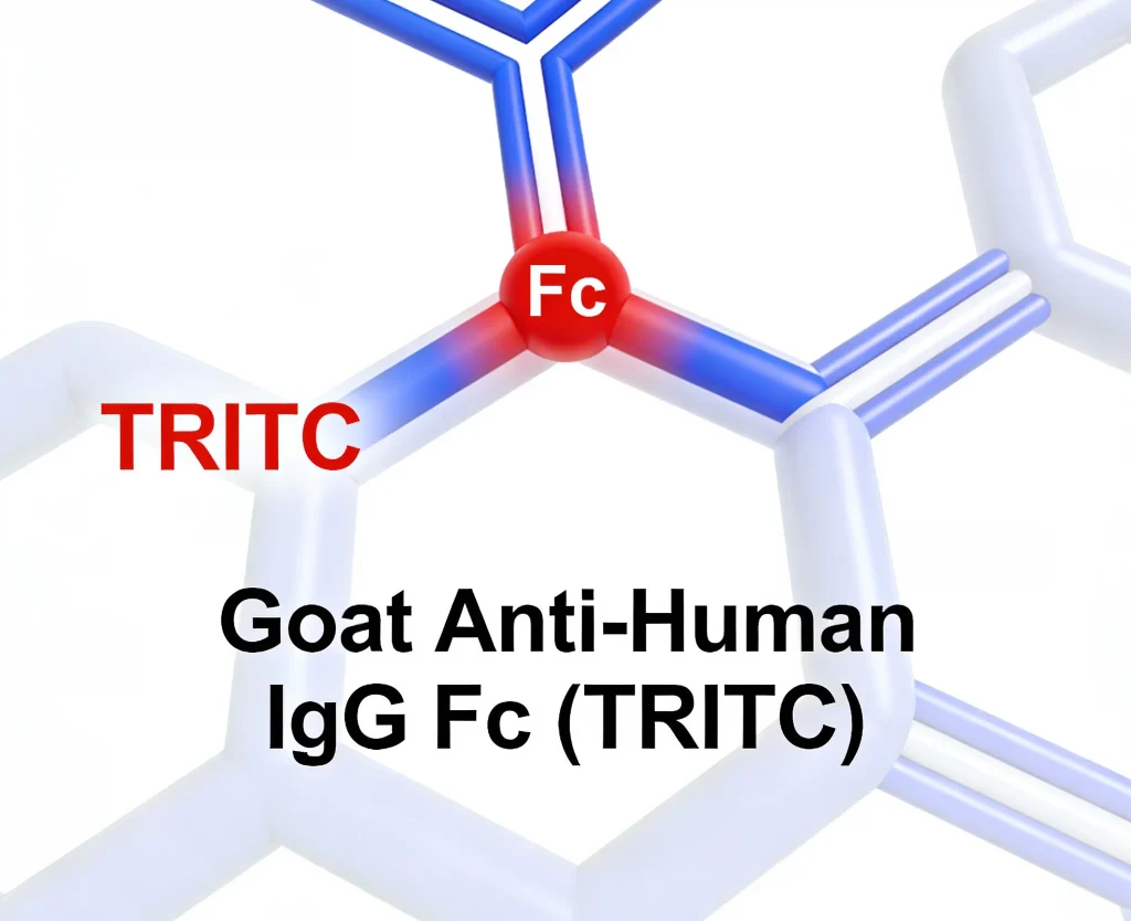 goat anti human igg fc tritc