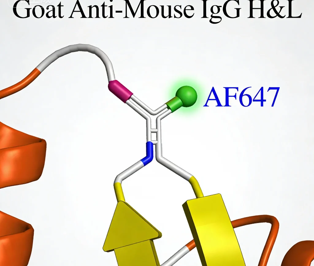 goat anti mouse igg hl af647