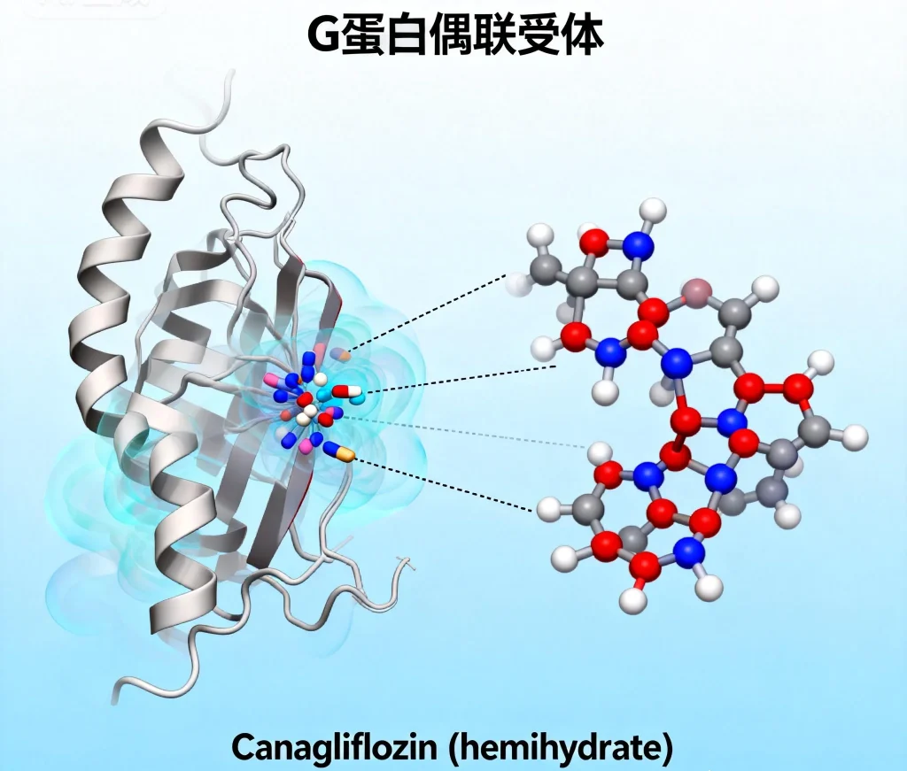 g蛋白偶联受体 canagliflozin hemihydrate