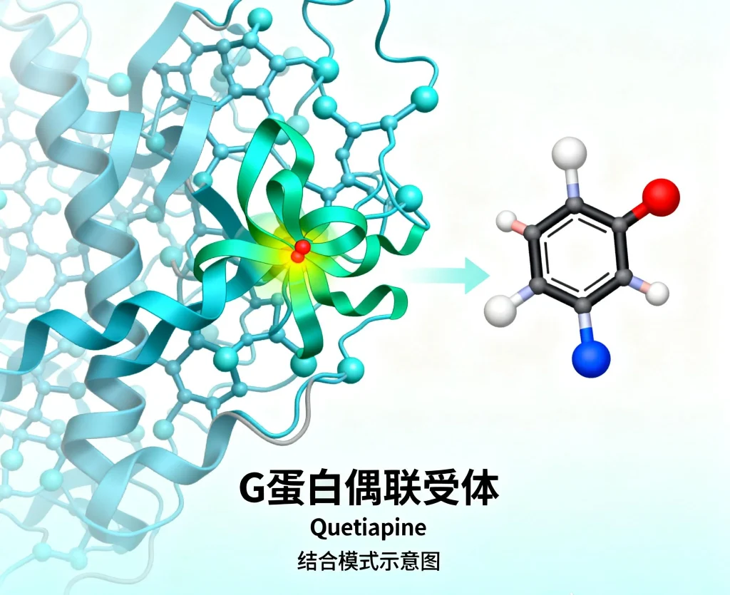 g蛋白偶联受体 quetiapine