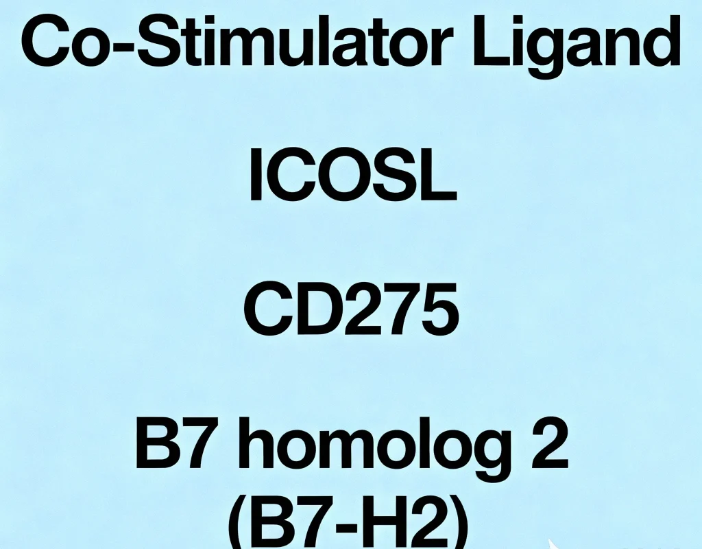 icos ligand