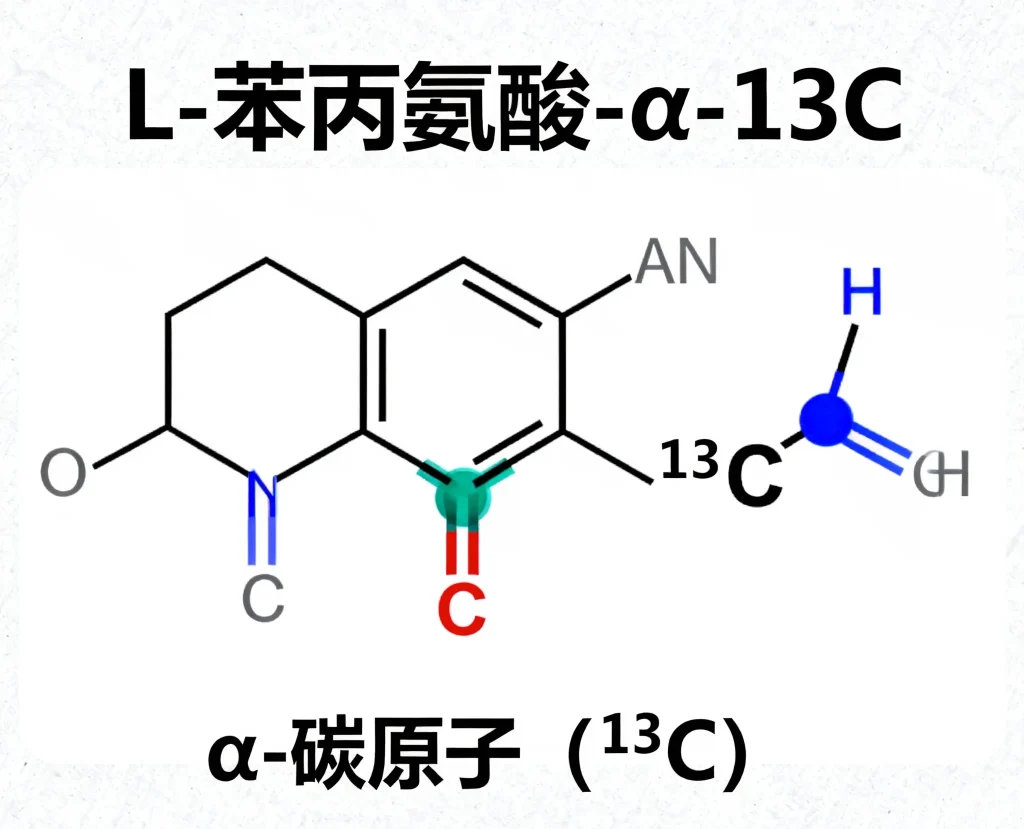 l 苯丙氨酸 α 13c