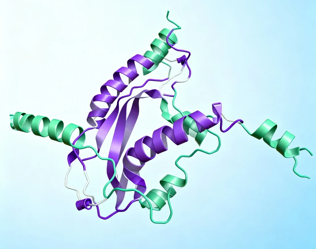 mouse anti human igg antibody