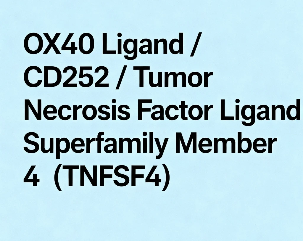 ox 40 ligand