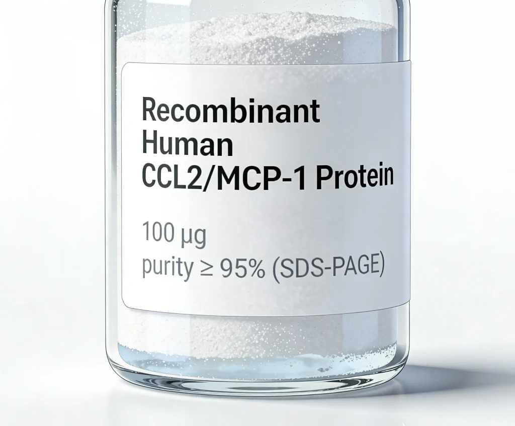 recombinant human ccl2 mcp 1 protein 1