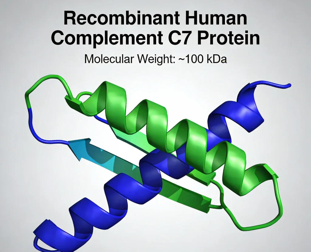 recombinant human complement c7 protein