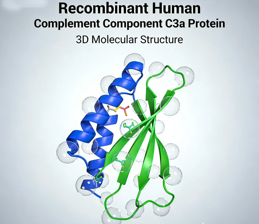 recombinant human complement component c