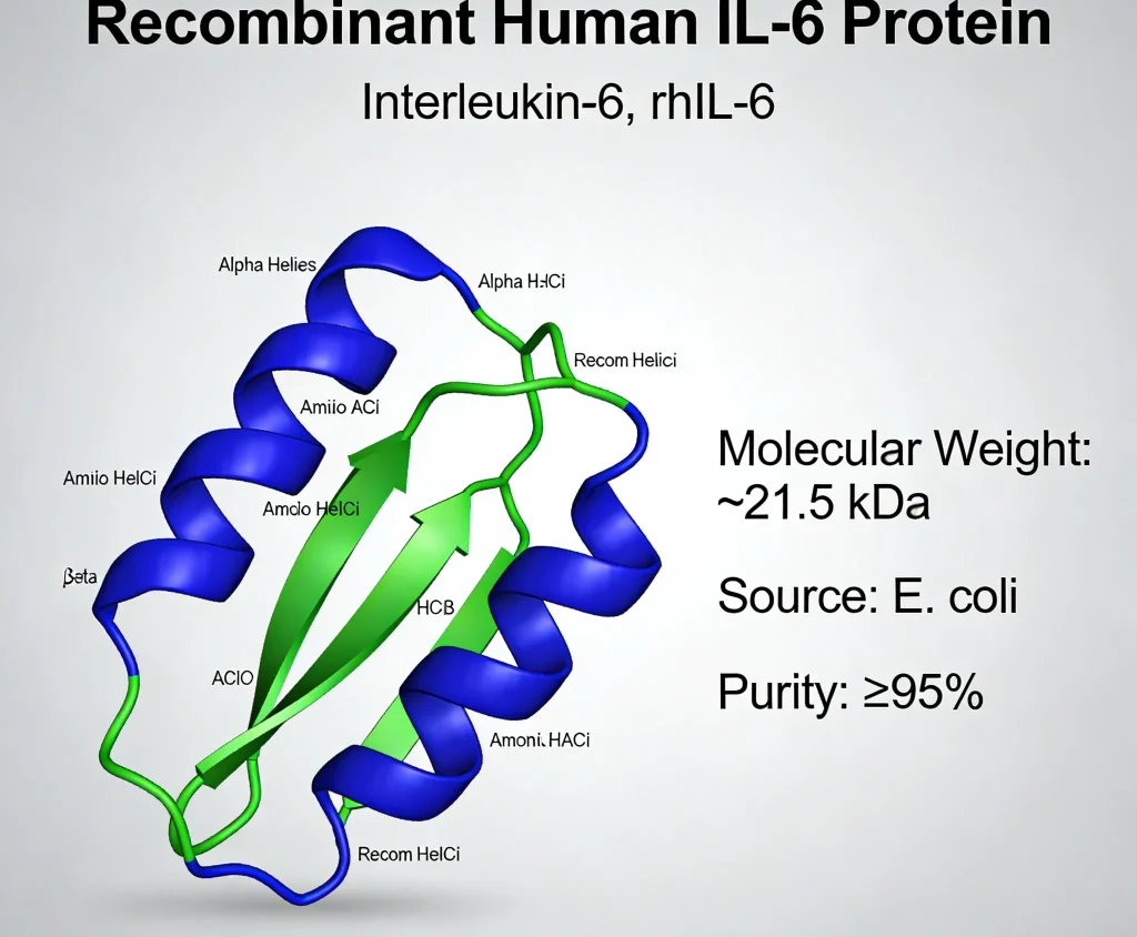 recombinant human il 6 protein