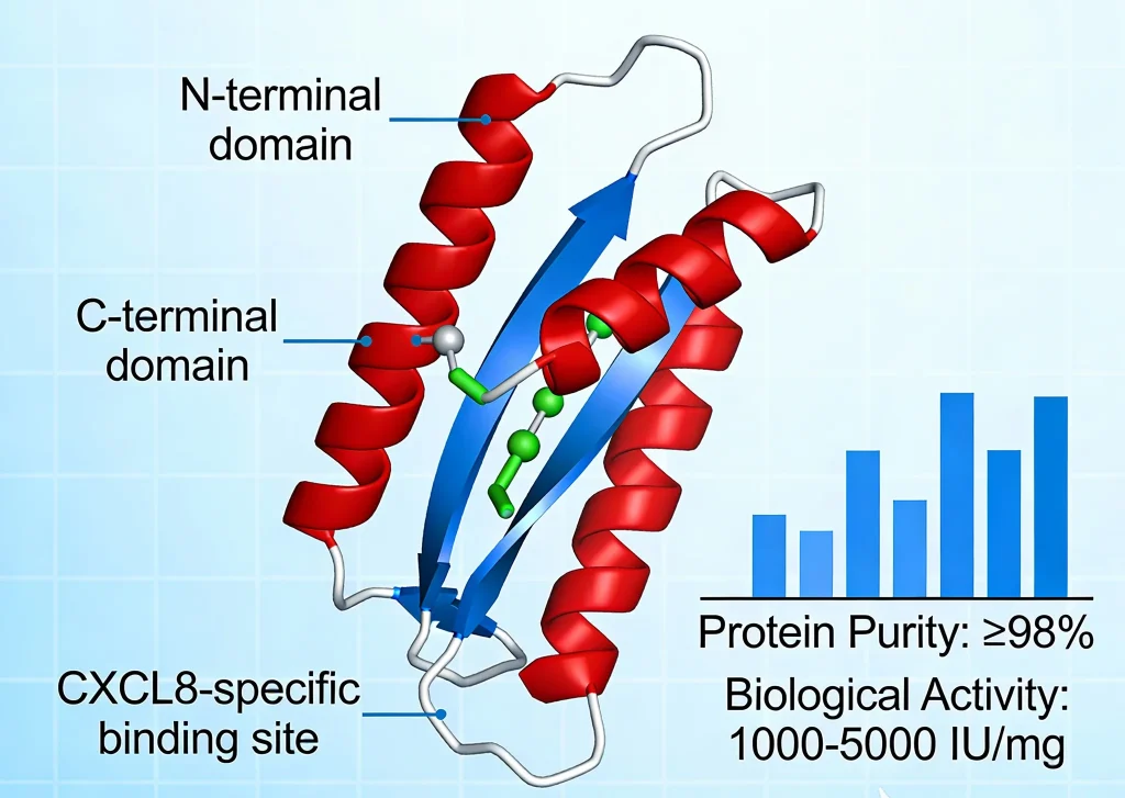 recombinant human il 8 cxcl8 protein