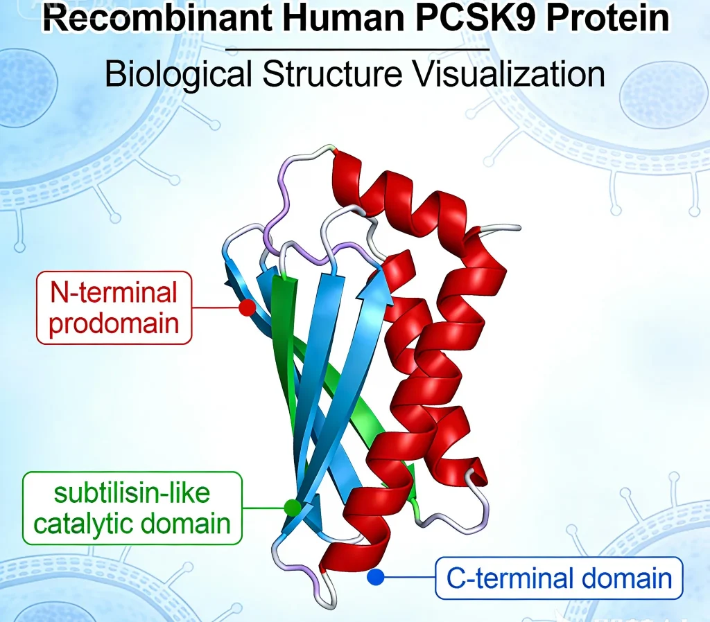 recombinant human pcsk9 protein