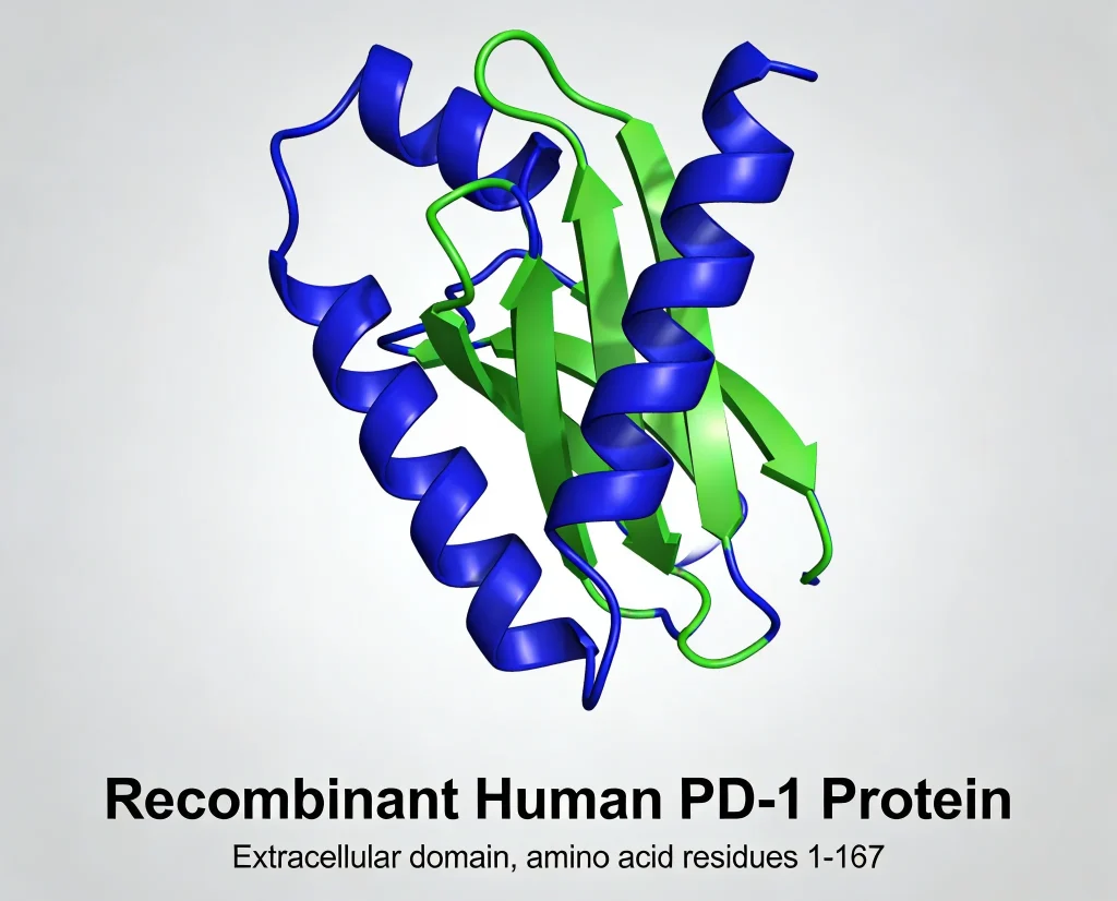 recombinant human pd 1 protein 1