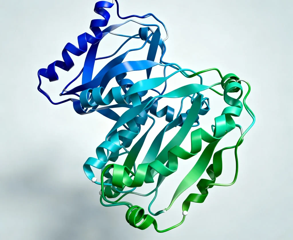 recombinant human vegf 165 protein