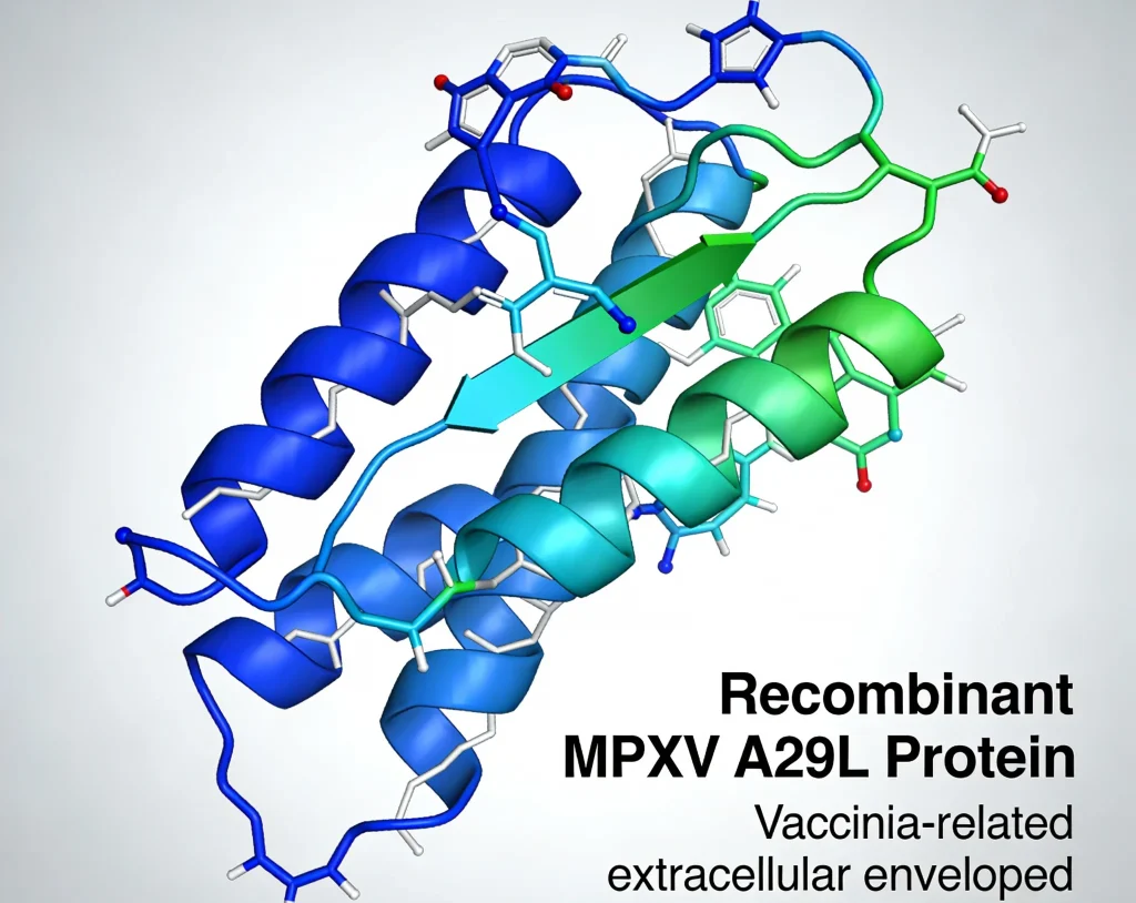 recombinant mpxv a29l protein