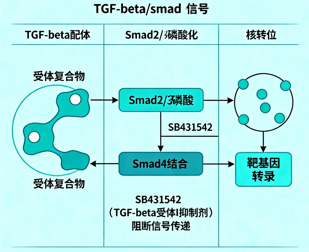 sb431542