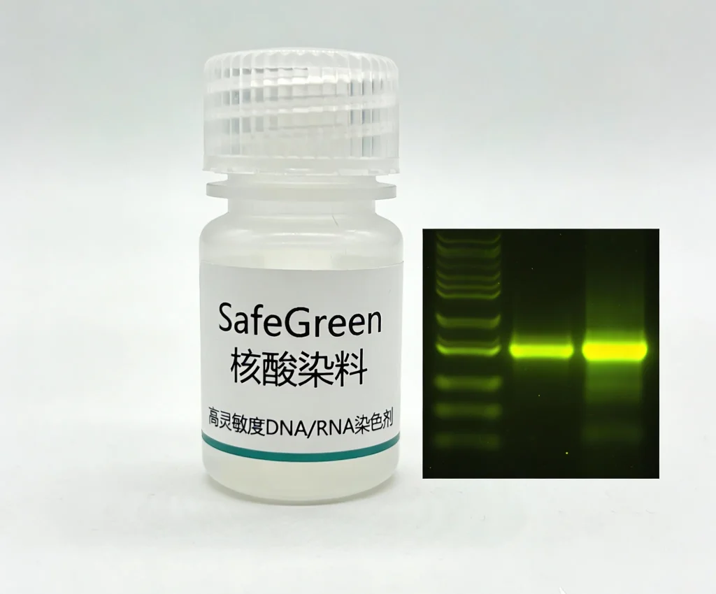 safegreen 核酸染料