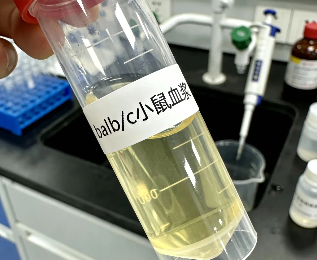 balb c小鼠血浆
