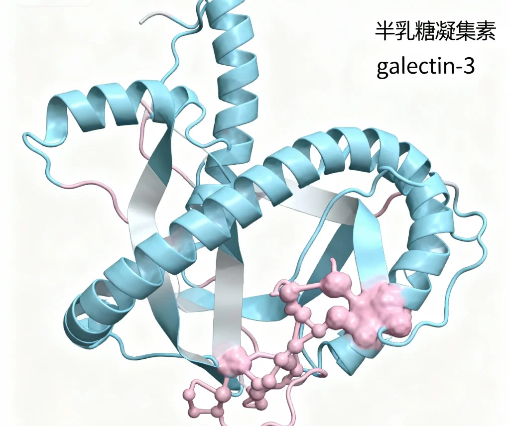 galectin 3
