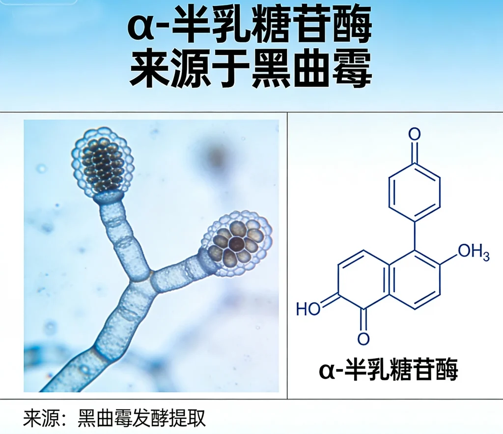 α 半乳糖苷酶 来源于黑曲霉