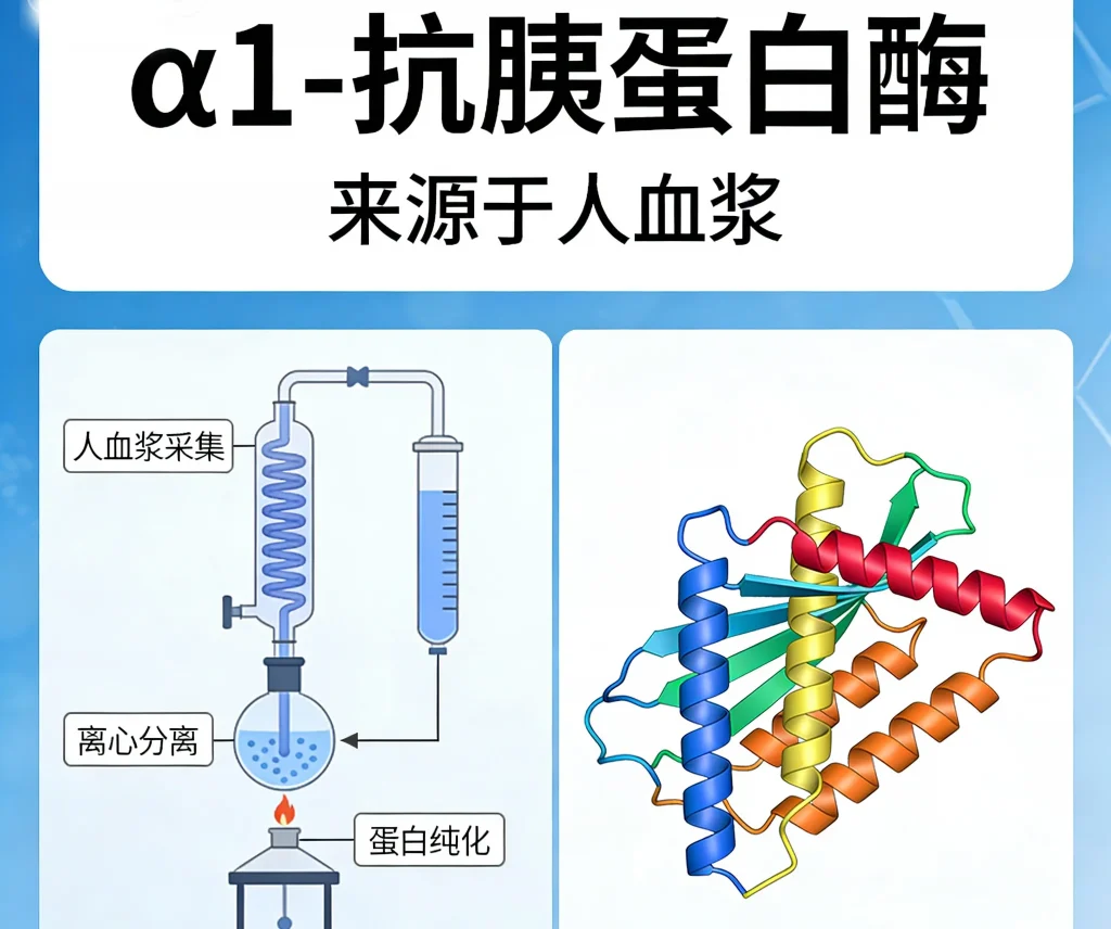 α1 抗胰蛋白酶 来源于人血浆
