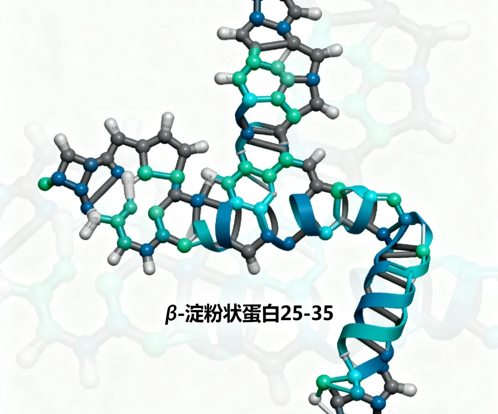 β 淀粉状蛋白25 35