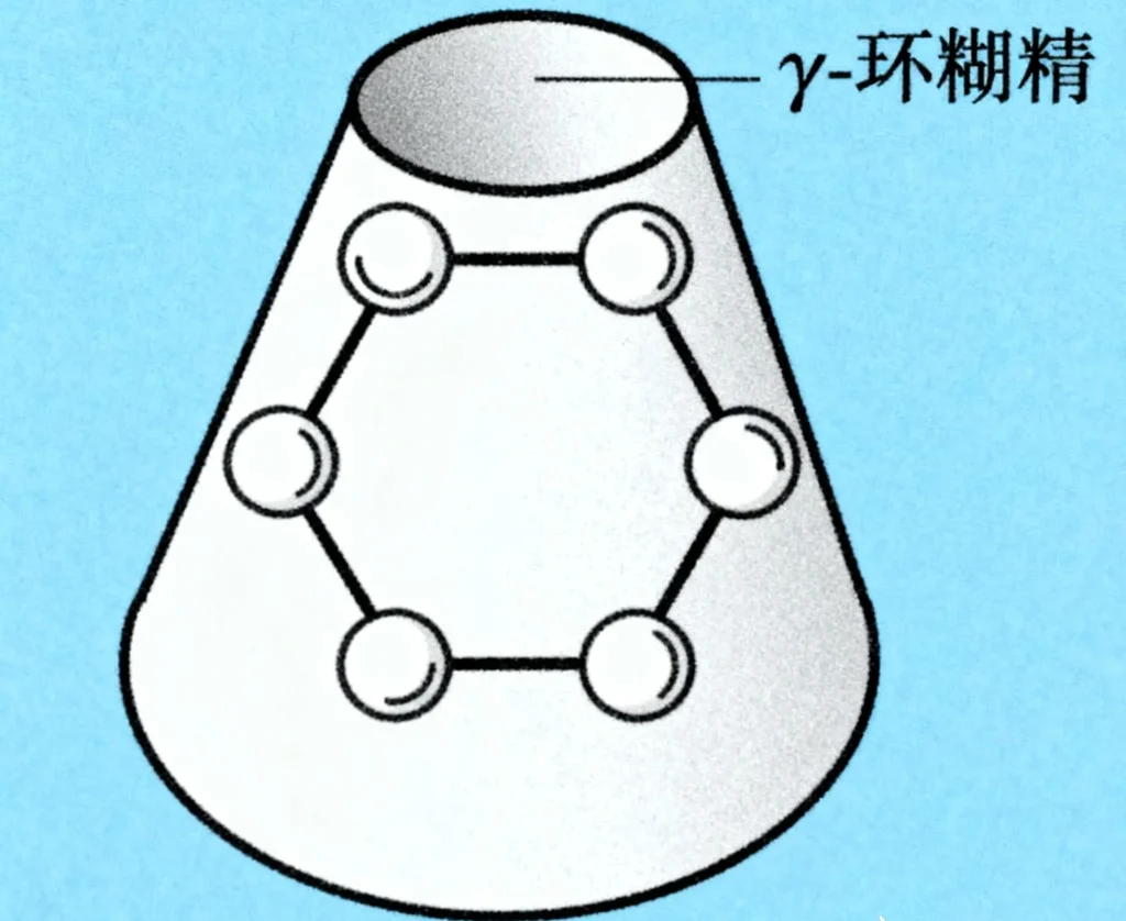 γ 环糊精