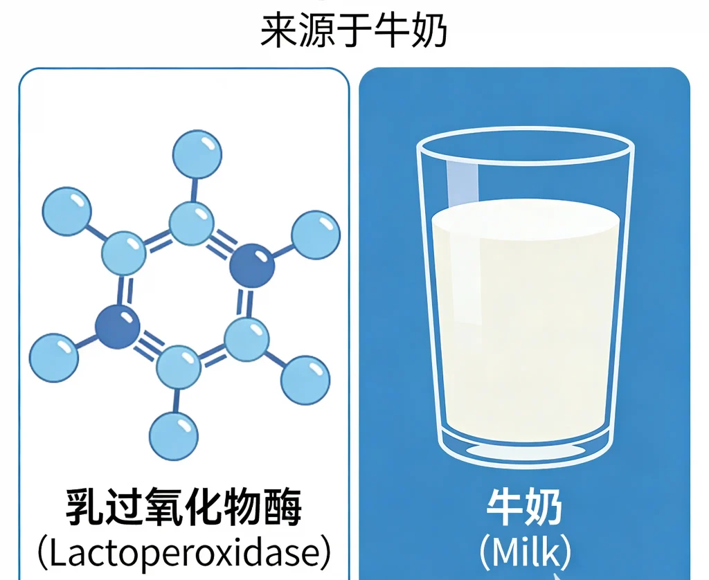 乳过氧化物酶 来源于牛奶