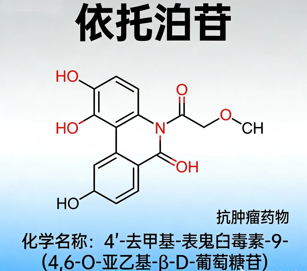 依托泊苷