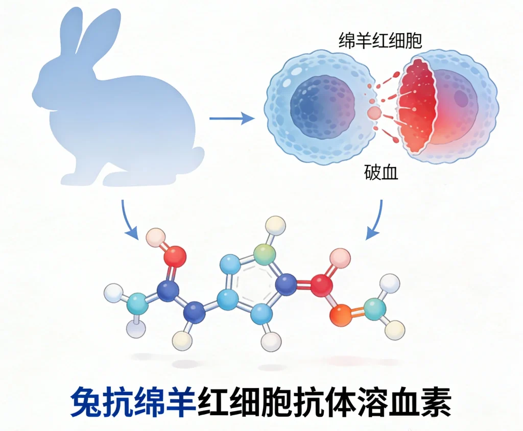 兔抗绵羊红细胞抗体溶血素