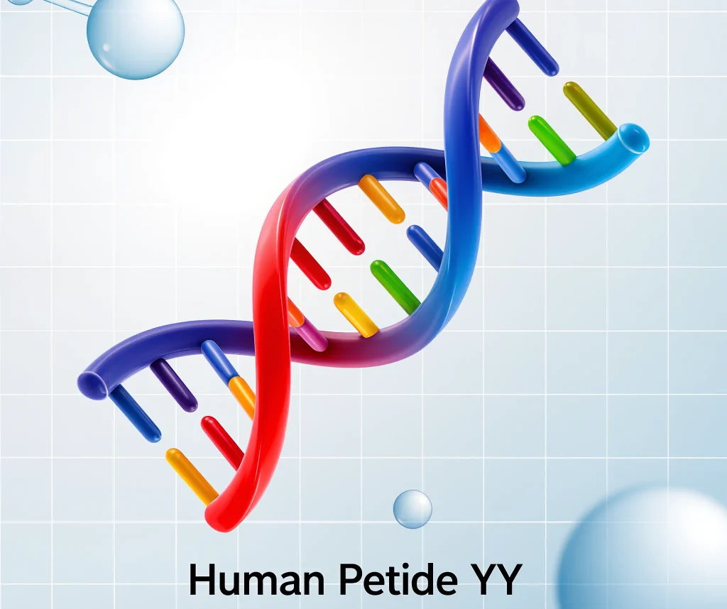 多肽yy人 human peptide yy
