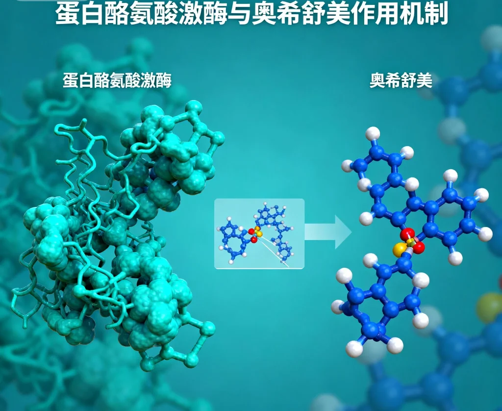 奥希舒美