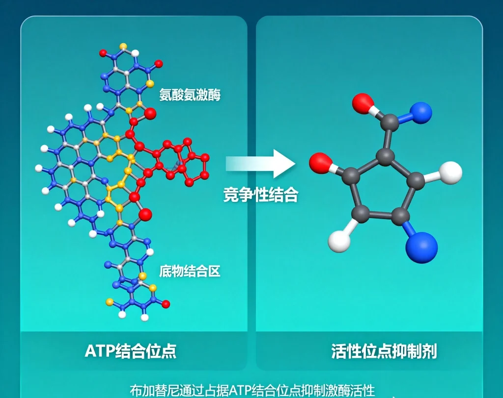 布加替尼