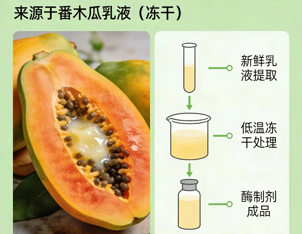 木瓜酶 来源于番木瓜乳液冻干