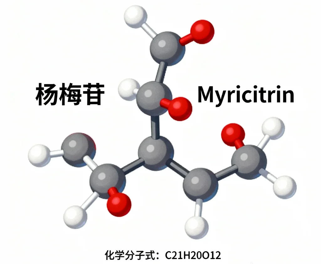 杨梅苷