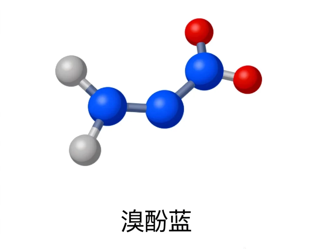 溴酚蓝