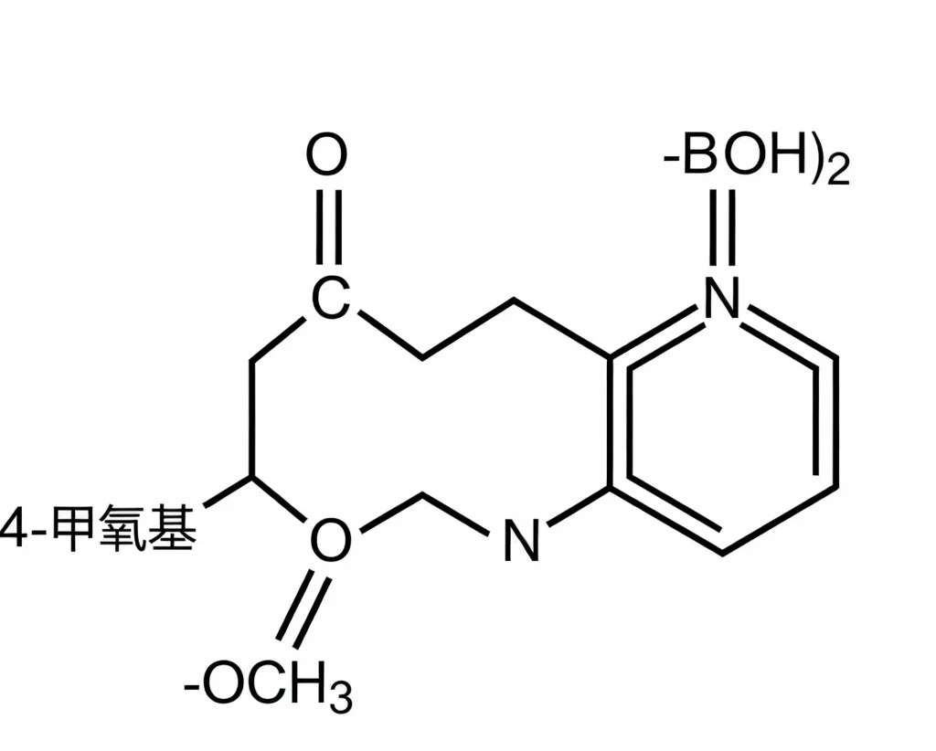 甲氧基苯硼酸