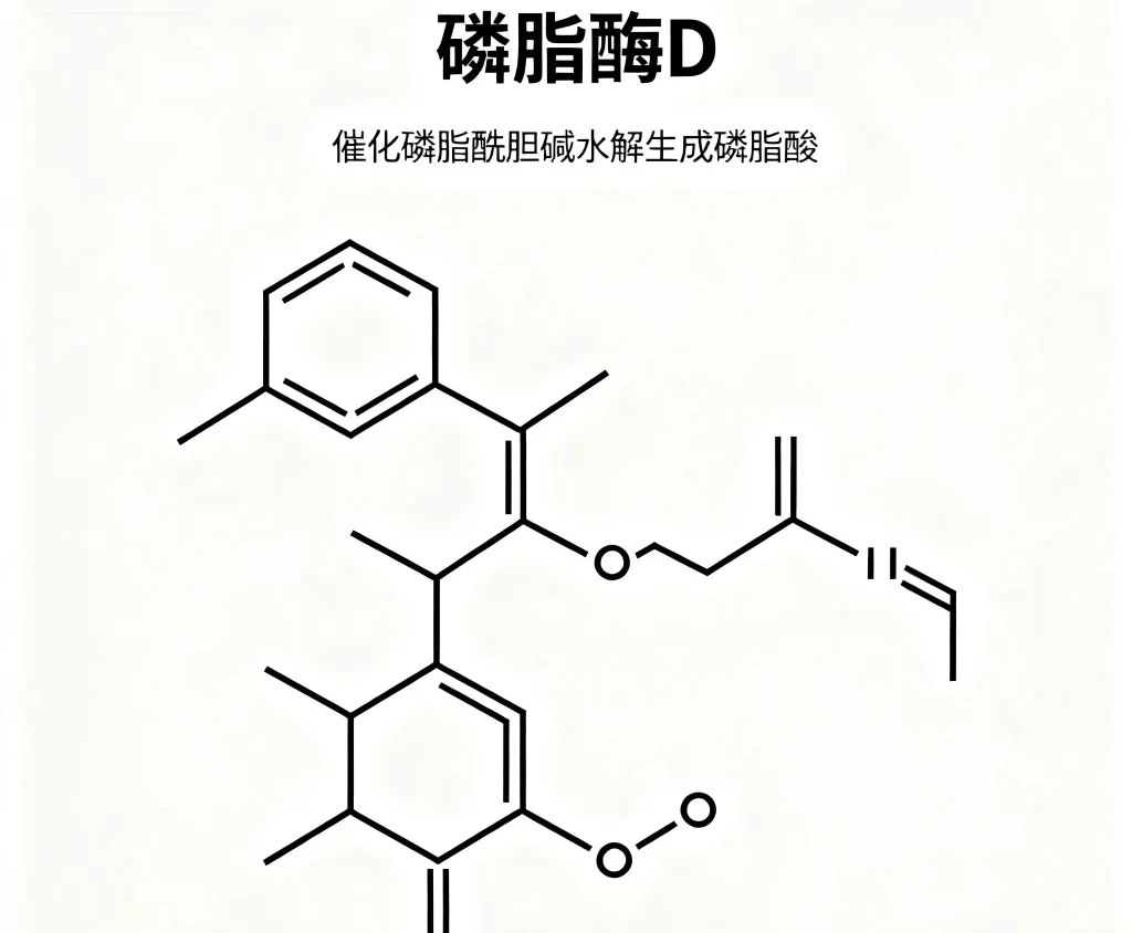 磷脂酶d