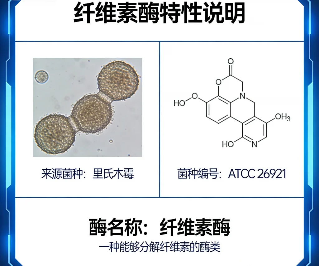 纤维素酶 来源于里氏木霉 atcc 26921