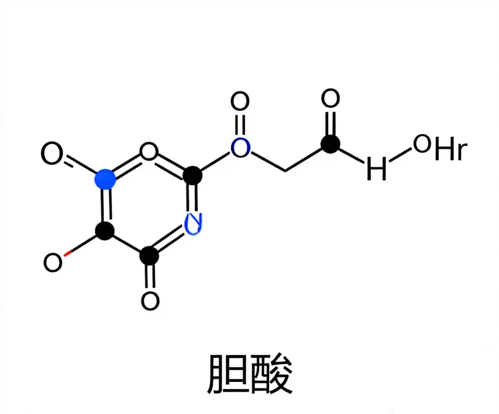 胆酸