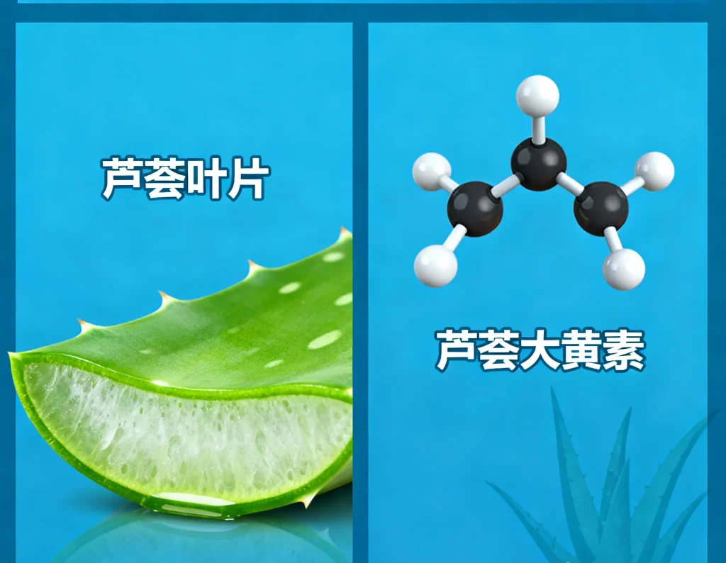 芦荟大黄素