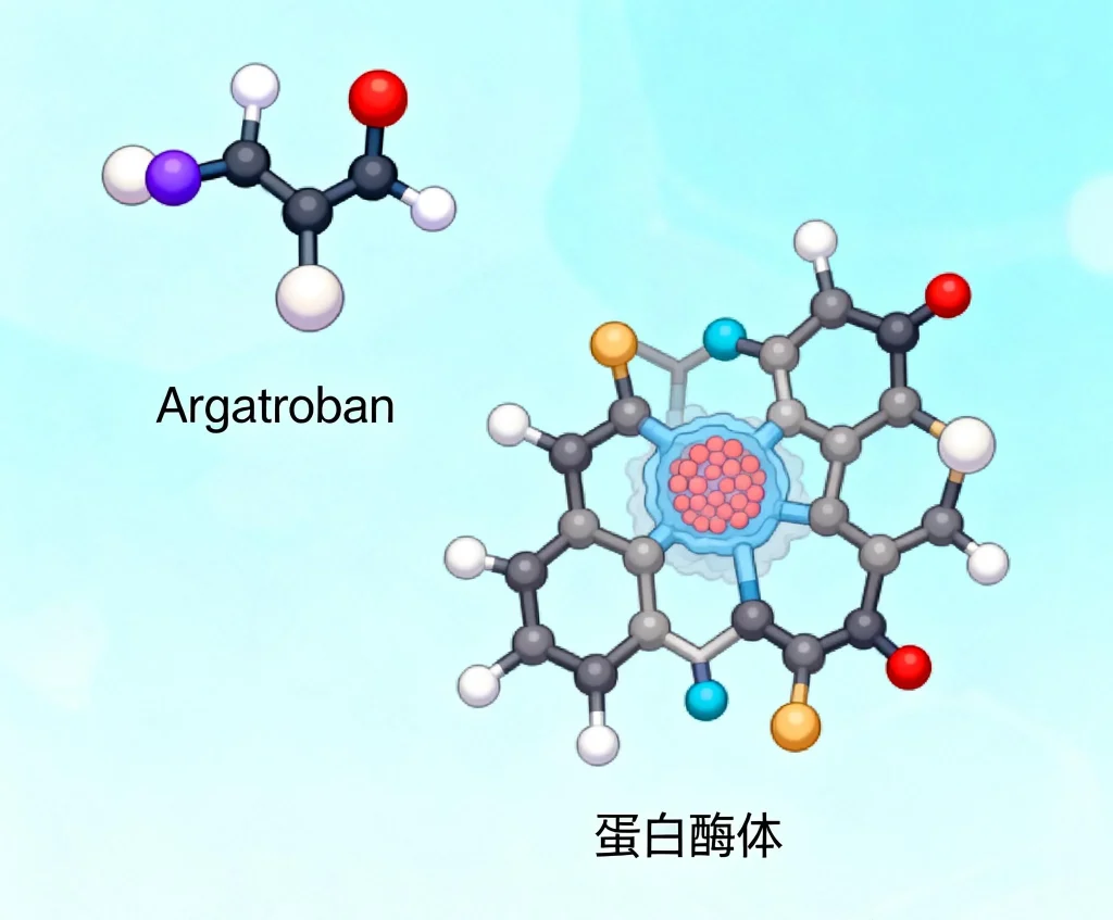 蛋白酶体 argatroban
