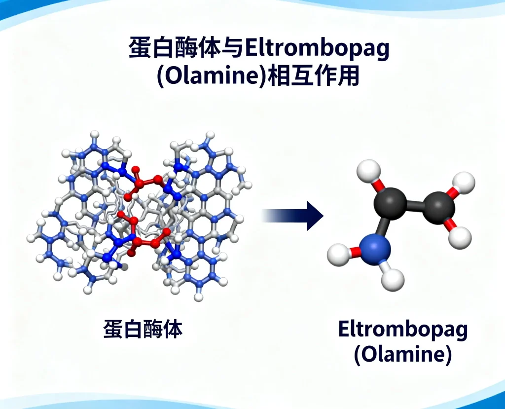 蛋白酶体 eltrombopag olamine