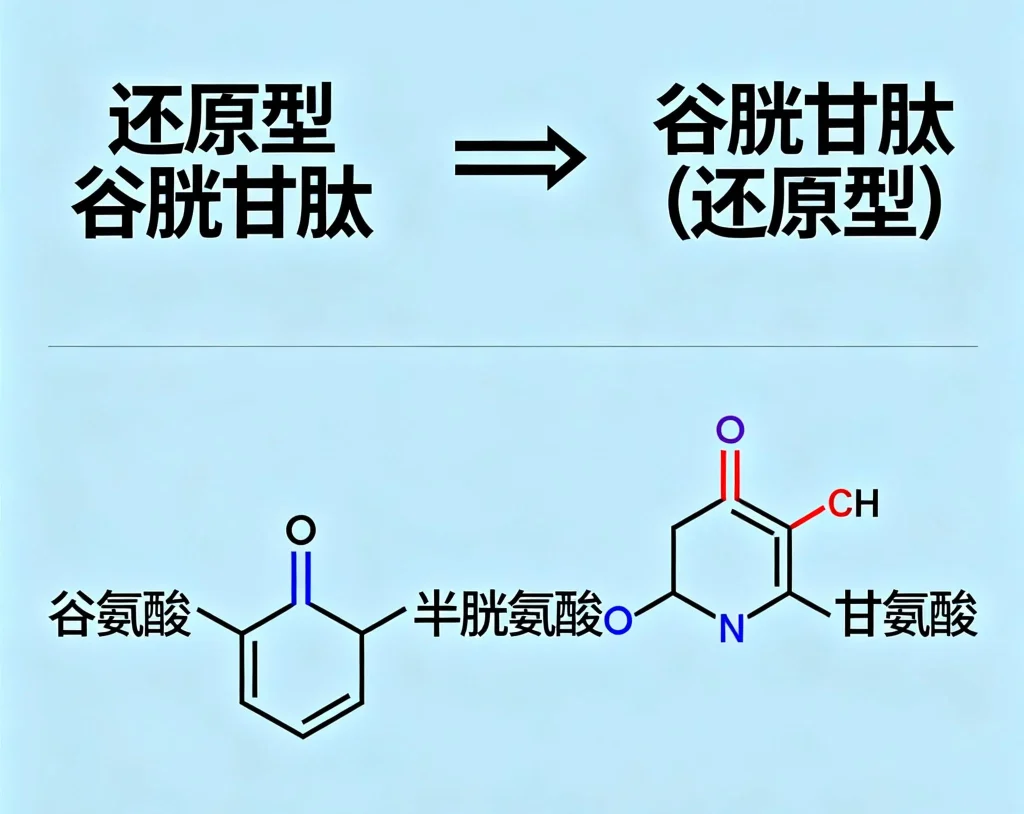 还原型谷胱甘肽 谷胱甘肽还原型