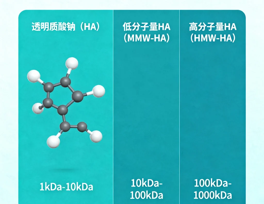 透明质酸钠（ha，各种分子量）