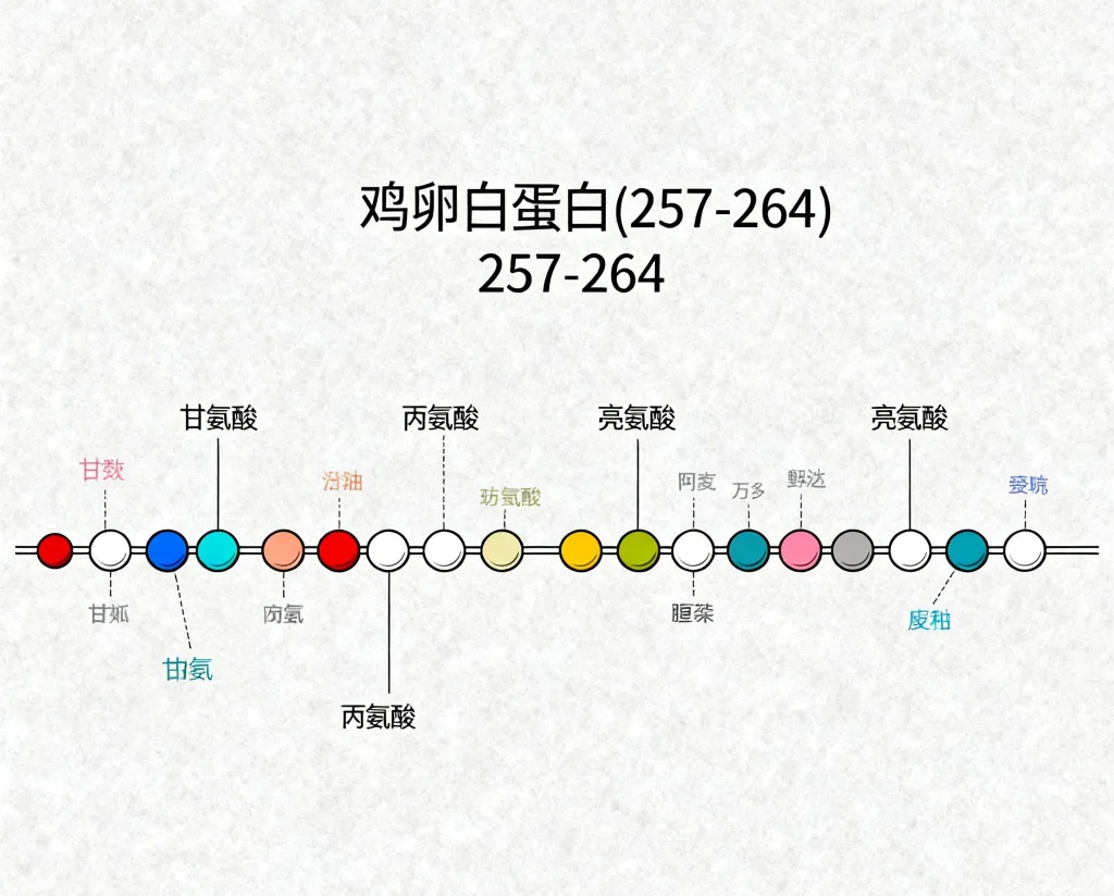鸡卵白蛋白 257 264